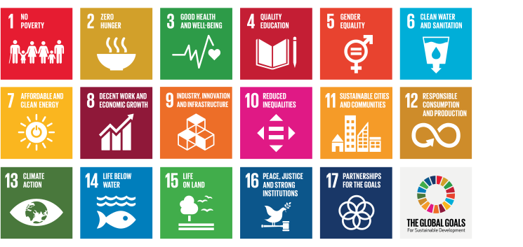 The 17 Sustainable Development Goals