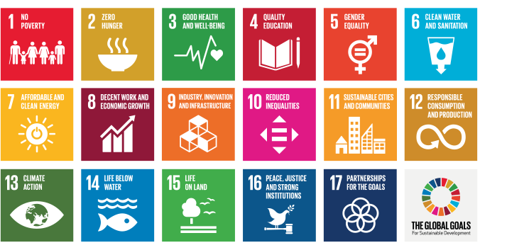 I 17 obiettivi di sviluppo sostenibile